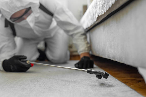 Professional Bed Bug Control technician working in Medford, MN